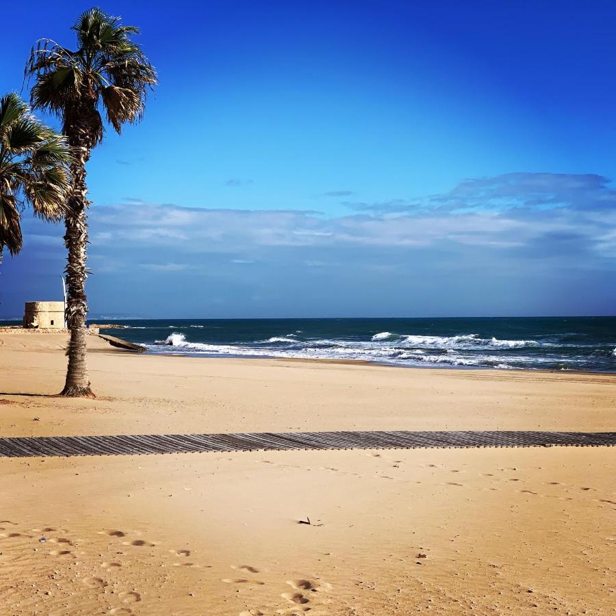 La Mata.Torrevieja.New Apartment 1M To The Beach) La Mata  Luaran gambar